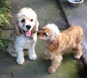 Dixie giving her friend Oliver a kiss on the cheek.